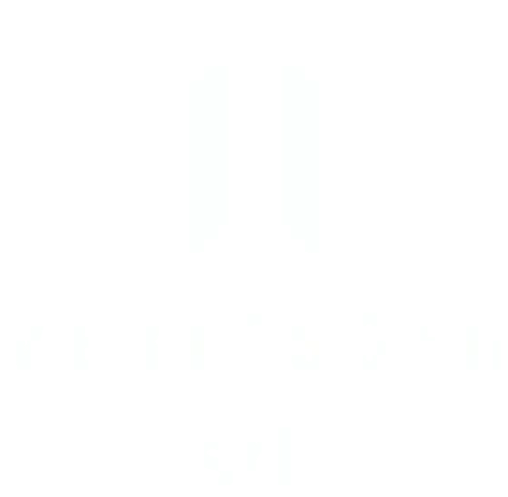 Vertessen srl